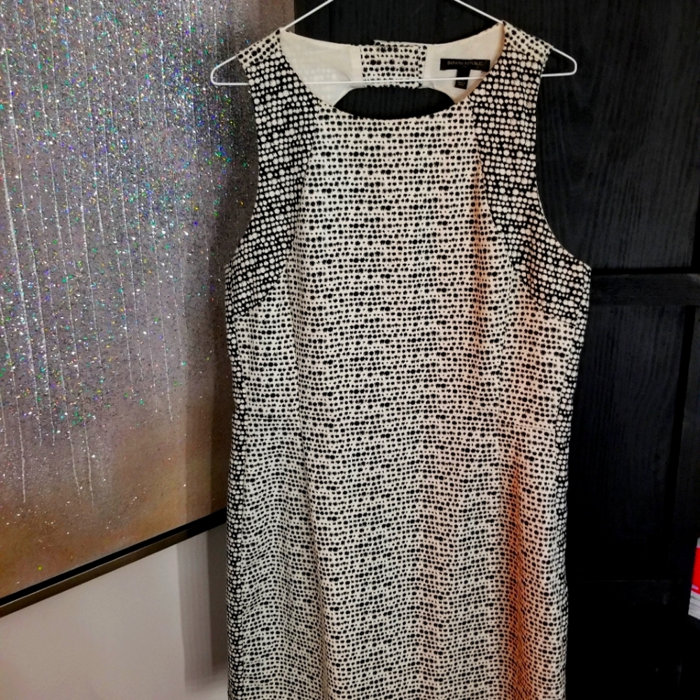 Banana Republic Dress